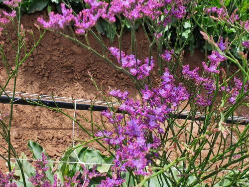 WhatsApp Image 2020-03-03 at 11.17.13 AM