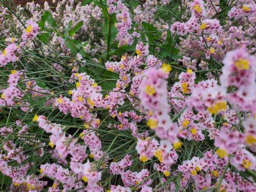 WhatsApp Image 2020-03-03 at 11.17.14 AM (1)